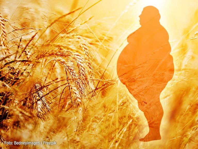 Gluten zavira delovanje leptina