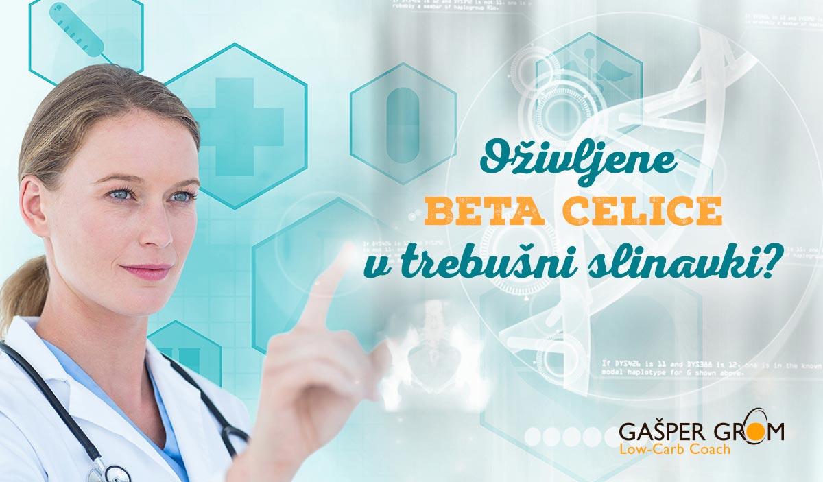 Beta celice in postenje