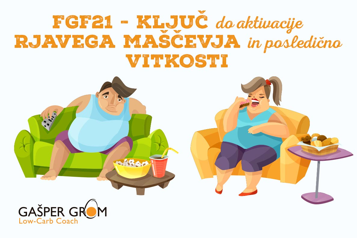 Povezava med simpatičnim živčevjem in rjavim maščevjem