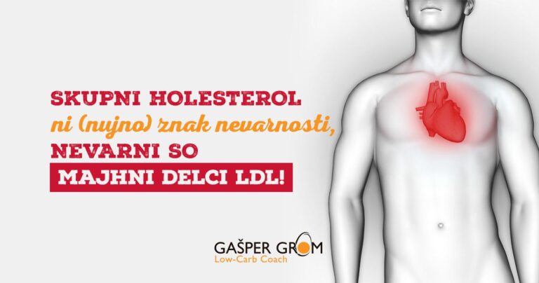 Ne skupni holesterol – nevarni so majhni LDL delci!