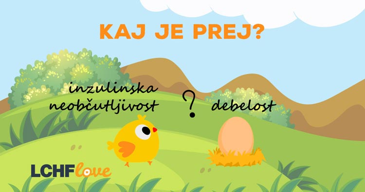 Kaj je prej: inzulinska neobčutljivost ali debelost?