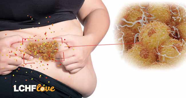 Rjavo maščevje: zaščita pred mrazom in debelostjo