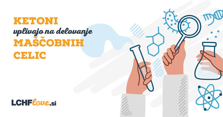 Ketoni ključno vplivajo na maščobne celice