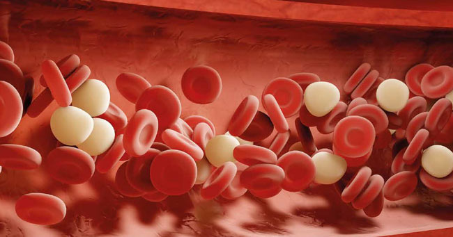 Krvni lipidi - grdi, umazani, zli