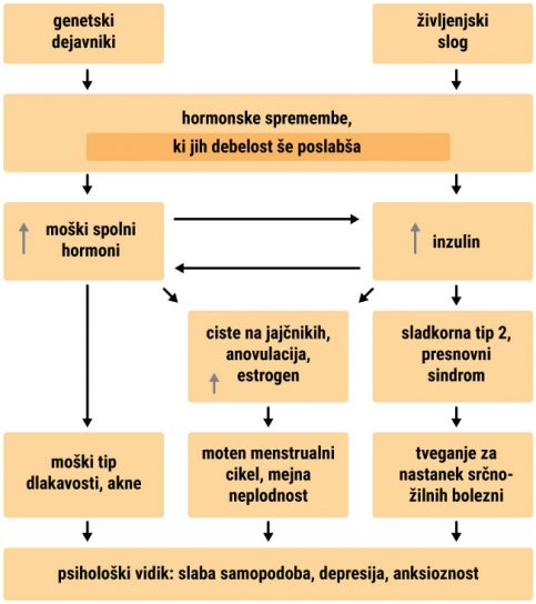 Sindrom policističnih jajčnikov: shema