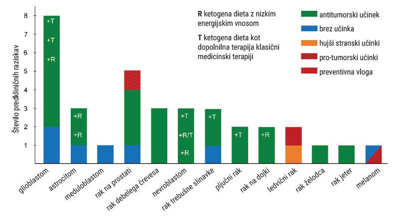 Predklinične študije raka in ketogene diete kot dopolnilne terapije